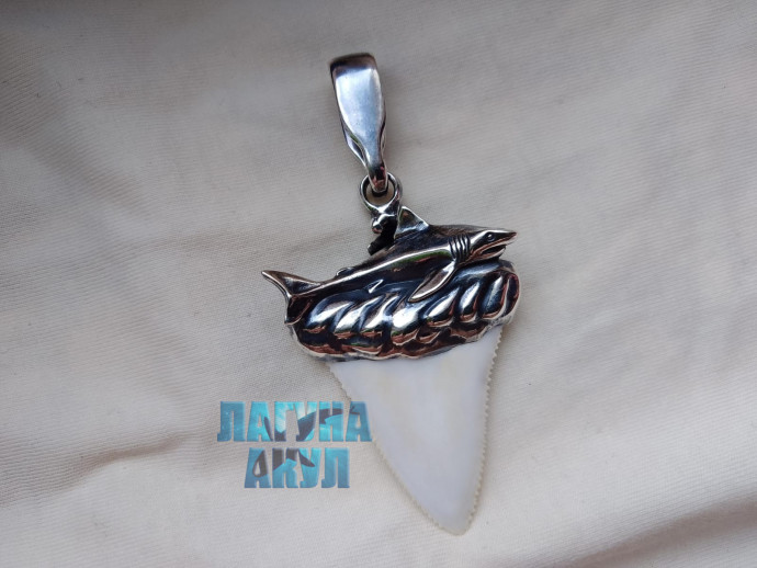 Амулет белой силы. Predator Number: 901564402