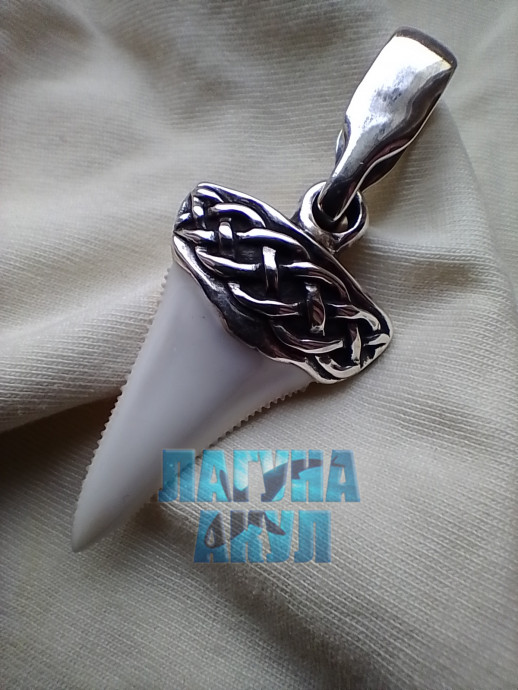 Амулет белой силы. Predator Number: 429704300