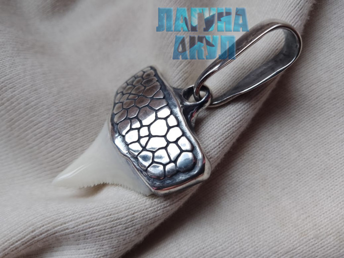 Амулет белой силы. Predator Number: 493610562