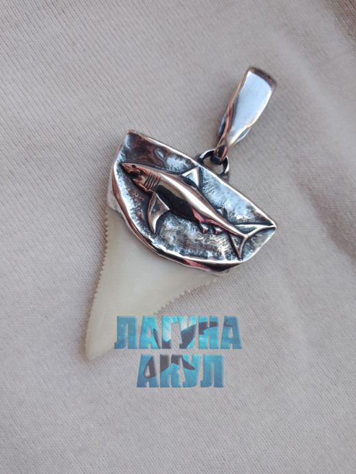 Амулет белой силы. Predator Number: 351039805